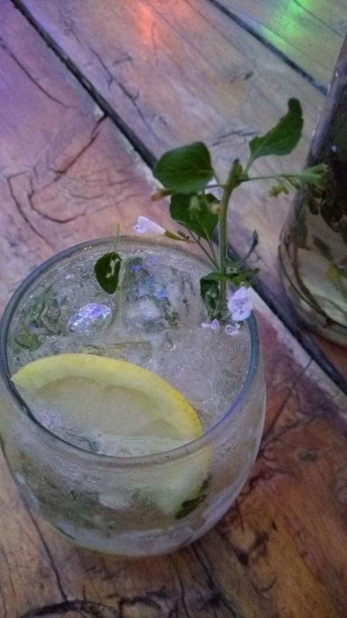 Croa La Rana Hotel Yacanto Kültér fotó